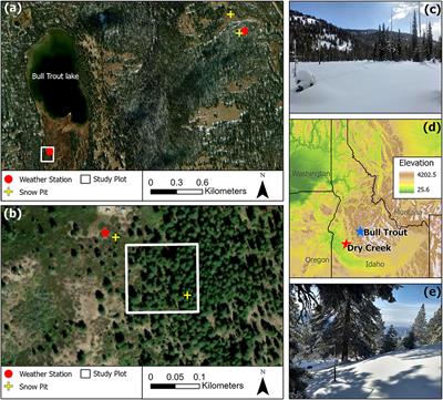 Forest impacts on snow accumulation and melt in a semi-arid mountain environment