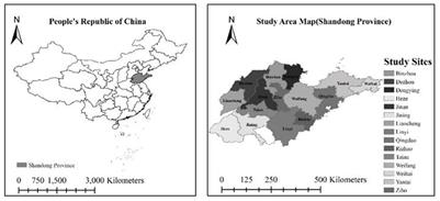 Can the use of digital technology improve the cow milk productivity in large dairy herds? Evidence from China's Shandong Province