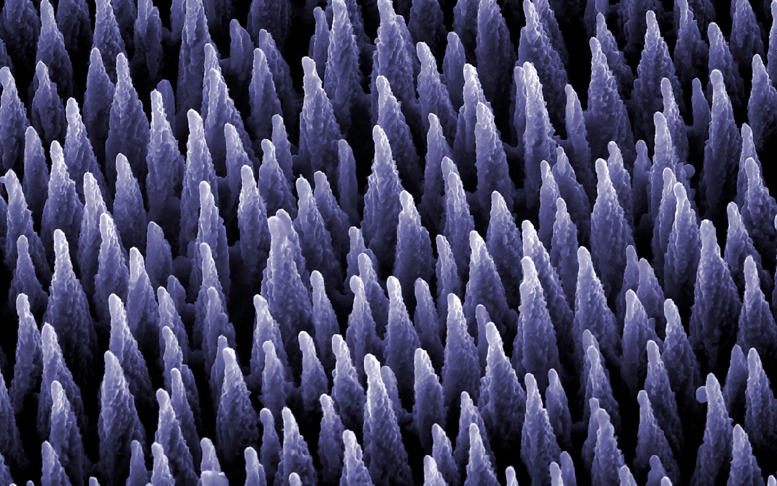 microcones created by laser; Shutterstock ID 66832744; purchase_order: Main Visual; job: ; client: ; other: